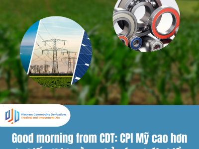 Good morning from CDT Investment: CPI Mỹ cao hơn dự kiến, thị trường phản ứng trái chiều