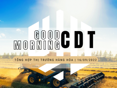 Good morning from CDT Investment. Tổng hợp thị trường ngày 16/09/2022: Thị trường phân hóa, nông sản hồi phục mạnh trong khi năng lượng chưa xuất hiện dấu hiệu tích cực!