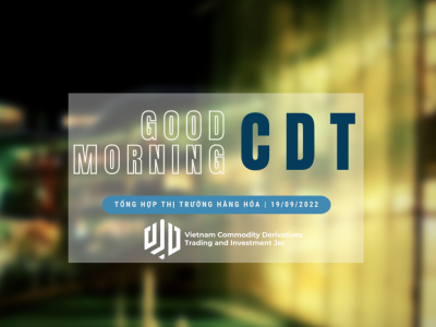 Good morning from CDT Investment. Tổng hợp thị trường ngày 19/09/2022: Năng lượng quay đầu hồi phục mạnh mẽ!