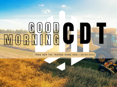 Good morning from CDT Investment. Tổng hợp thị trường ngày 20/09/2022: Nông sản tăng giá mạnh cuối ngày!