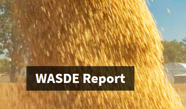 Lưu ý thị trường - Báo cáo Cung cầu nông sản thế giới do USDA phát hành