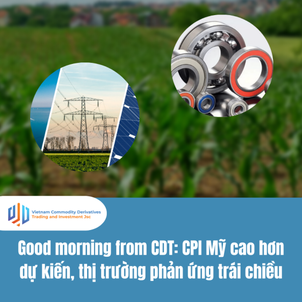 Good morning from CDT Investment: CPI Mỹ cao hơn dự kiến, thị trường phản ứng trái chiều