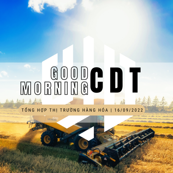 Good morning from CDT Investment. Tổng hợp thị trường ngày 16/09/2022: Thị trường phân hóa, nông sản hồi phục mạnh trong khi năng lượng chưa xuất hiện dấu hiệu tích cực!