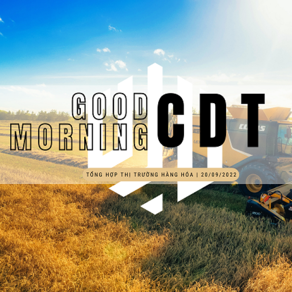 Good morning from CDT Investment. Tổng hợp thị trường ngày 20/09/2022: Nông sản tăng giá mạnh cuối ngày!