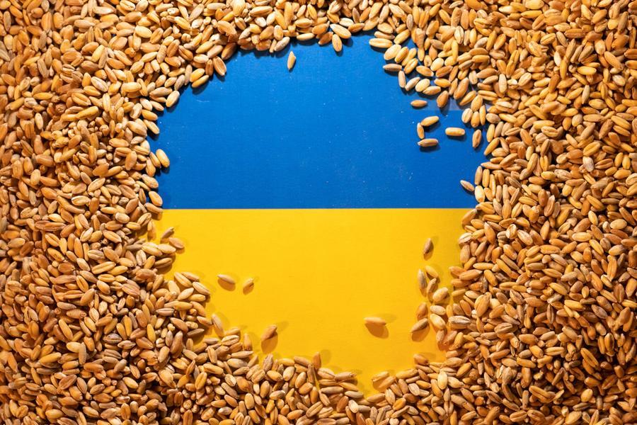 Around 3.7mln tonnes of food left Ukraine ports under grain deal - ministry