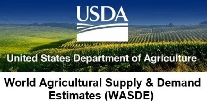 May 2024 USDA WASDE Report Overview. - Paradigm Futures